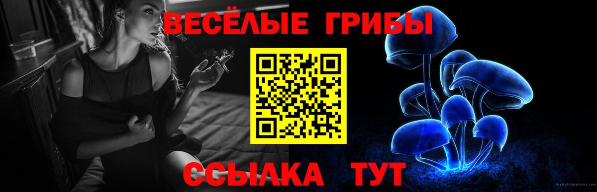 Псилоцибиновые грибы мицелий Новоуральск
